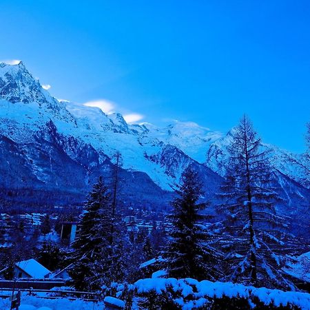 "Chalet Bobo" Cosy & Magnifique Vue Chx Sud Σαμονί Εξωτερικό φωτογραφία